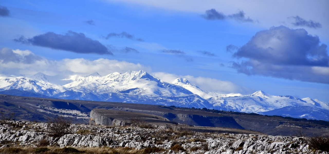 WhatsApp Image 2026-02-09 at 20.29.03 (5)